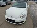 Volkswagen Beetle VW The Beetle Cabriolet TSI Weiß - thumbnail 8
