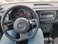 Volkswagen Beetle VW The Beetle Cabriolet TSI Weiß - thumbnail 16