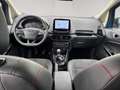 Ford EcoSport ST-Line 1.0L Titanium Blau - thumbnail 11