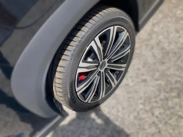 BYD Sealion 7 Excellence AWD Ansicht 5