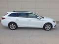 SEAT Leon Leon SP Reference 2,0 TDI Reference AHV Weiß - thumbnail 3