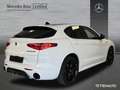 Alfa Romeo Stelvio Veloce Q4 (EURO 6d) 2021 - thumbnail 2