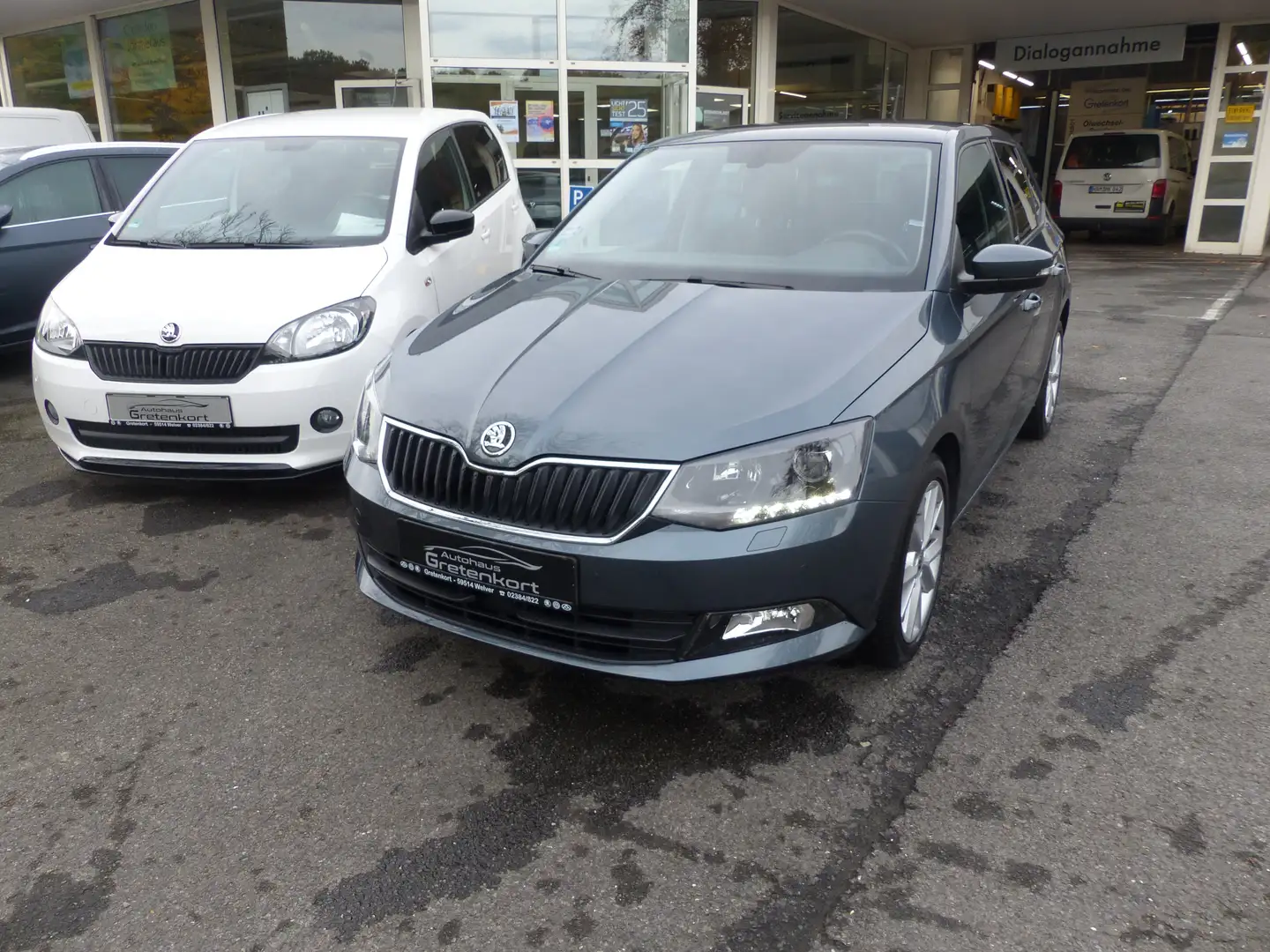Skoda Fabia Joy Grau - 1
