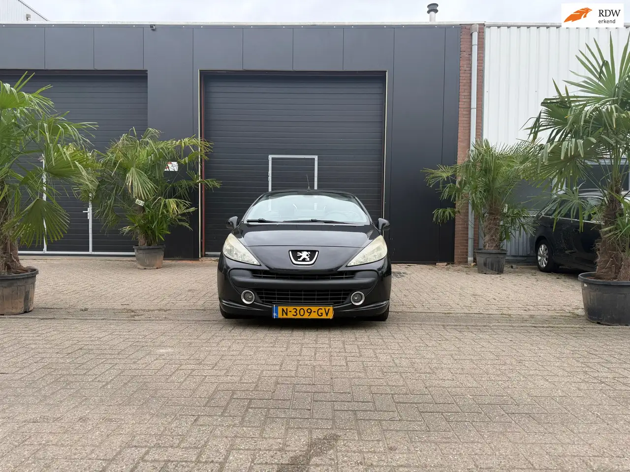 Peugeot 207