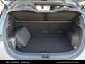 BYD Dolphin Comfort MY2025 Grau - thumbnail 13