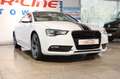 Audi A5 2.0 TFSI quattro S-line *Automatik*Panorama* Weiß - thumbnail 3
