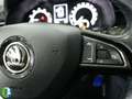 Skoda Kamiq 1.0 TGI Active 66kW Azul - thumbnail 14