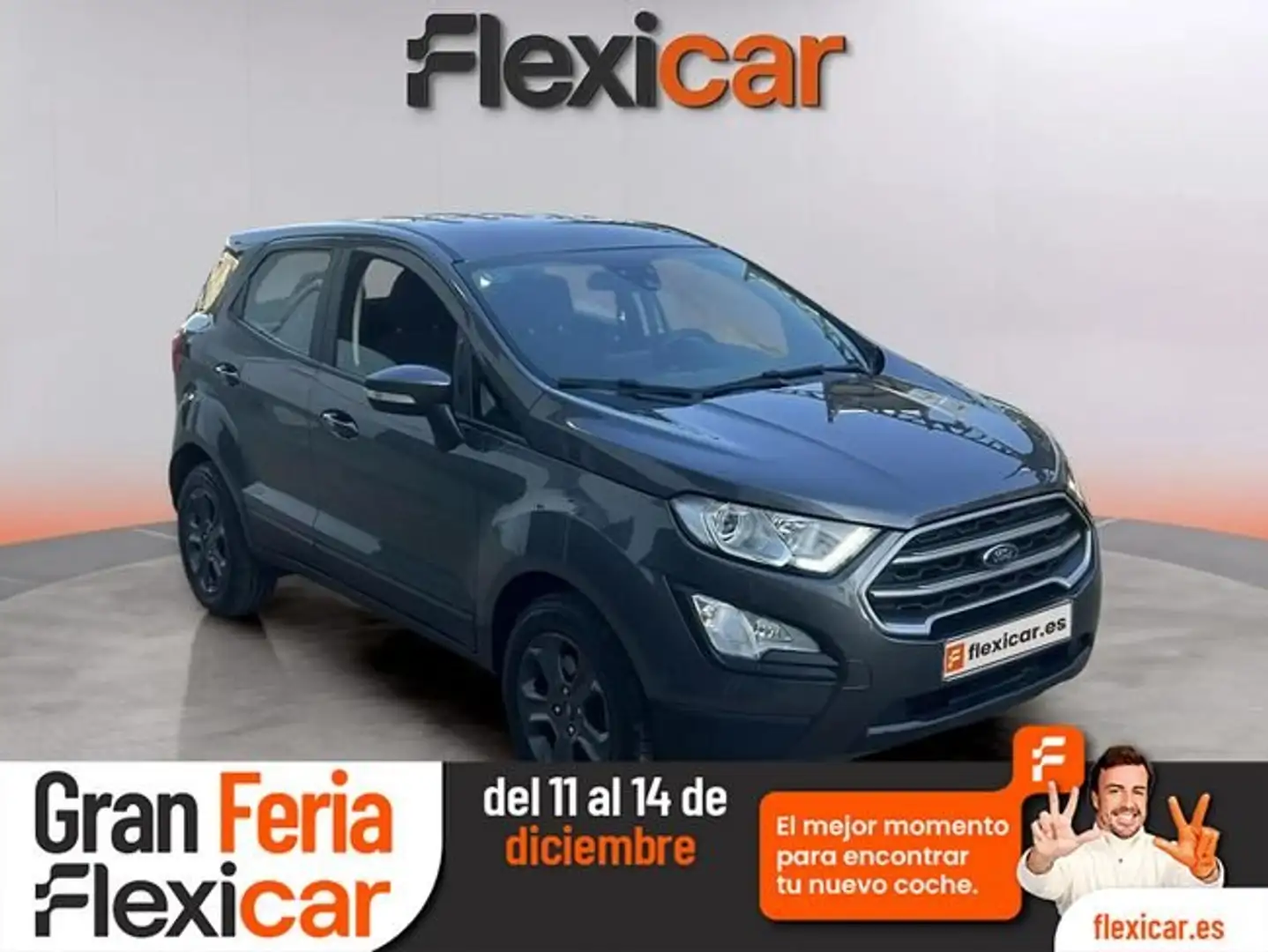 Ford EcoSport 1.0 EcoBoost Active 125 Gris - 1