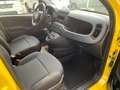 Fiat Panda Pandina 1.0 firefly hybrid s Gelb - thumbnail 12