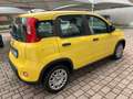 Fiat Panda Pandina 1.0 firefly hybrid s Gelb - thumbnail 4
