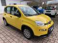 Fiat Panda Pandina 1.0 firefly hybrid s Gelb - thumbnail 3