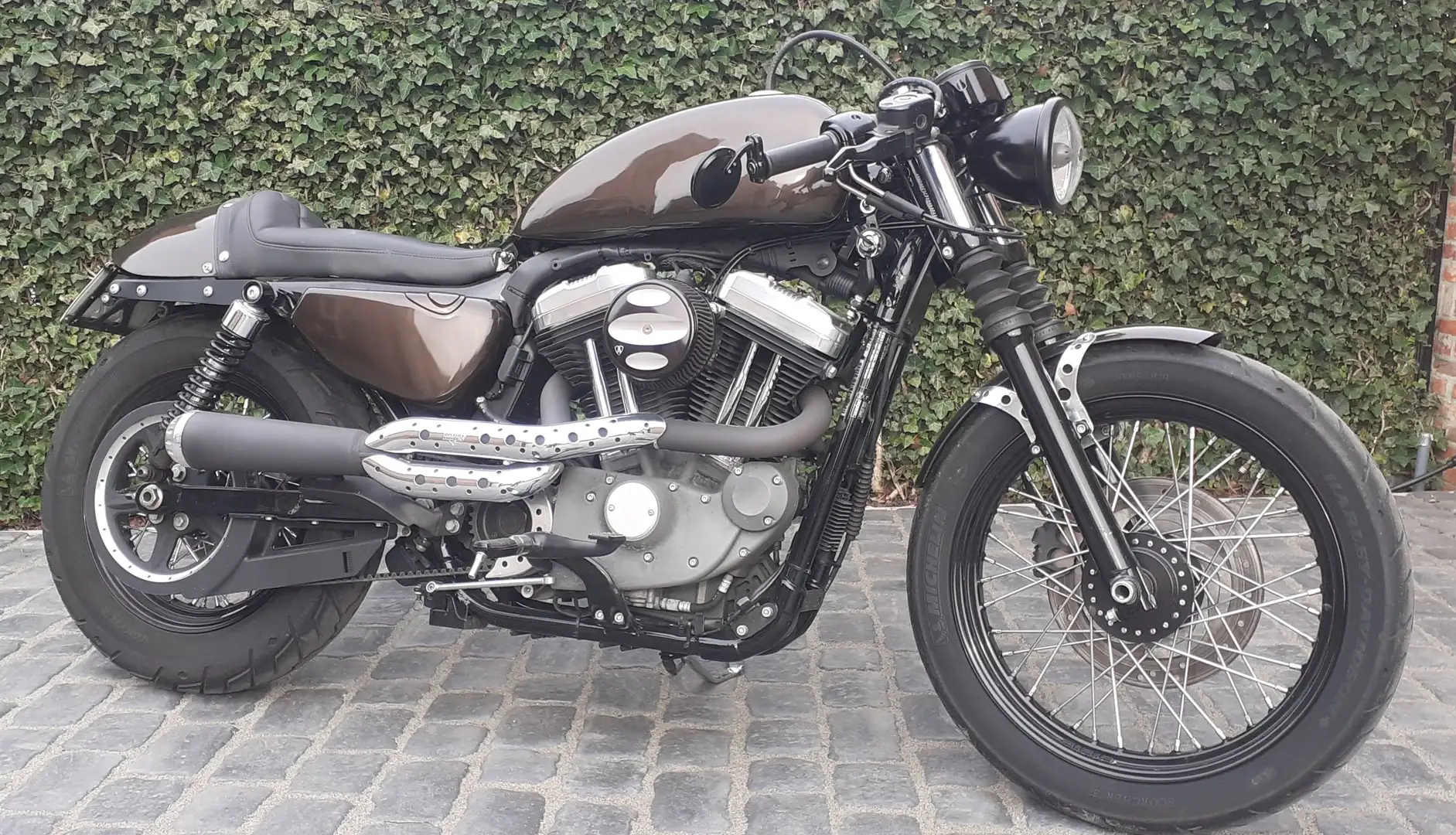Harley-Davidson Sportster 1200 Коричневий - 2