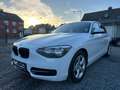 BMW 116 i *TÜV/ASU NEU* Sport Line Weiß - thumbnail 3