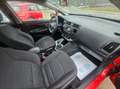 Kia Rio Rio 1,1 CRDi Titan Titan Rot - thumbnail 8