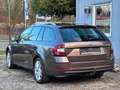 Skoda Octavia Combi Clever 2.0 TDI 4x4 DSG*ACC*AHK Braun - thumbnail 8