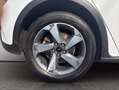 Ford Focus Active 1.0 ecoboost s&s 125cv Bianco - thumbnail 10