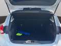 Ford Focus Active 1.0 ecoboost s&s 125cv Bianco - thumbnail 9