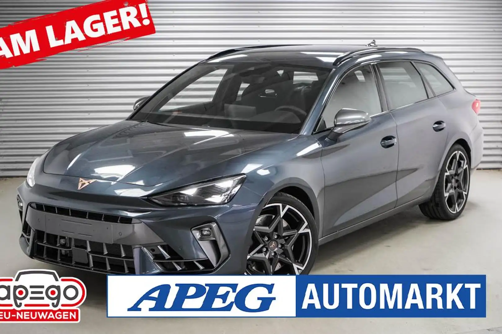 CUPRA Leon 2,0 TSI DSG 4x4 VZ Grau - 1