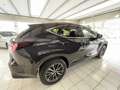 Lexus NX 450h+ E-Four F-Sport Schwarz - thumbnail 7