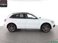 Audi Q5 Q5 3.0 TDI qu S LINE SPORT EDITION KEYLESS,PANO Weiß - thumbnail 6