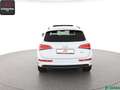 Audi Q5 Q5 3.0 TDI qu S LINE SPORT EDITION KEYLESS,PANO Weiß - thumbnail 4