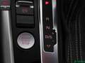 Audi Q5 Q5 3.0 TDI qu S LINE SPORT EDITION KEYLESS,PANO Weiß - thumbnail 19