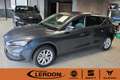 SEAT Leon Road Edition 1.5 eTSI DSG | FullLink| SHZ Gri - thumbnail 1