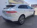 Jaguar F-Pace 20d AWD Prestige Aut. Weiß - thumbnail 2