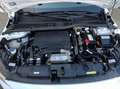 Opel Corsa 1.2T XHL S/S Elegance 100 Wit - thumbnail 23