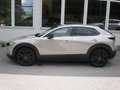 Mazda CX-30 G140 AT Nagisa Beige - thumbnail 8