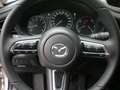 Mazda CX-30 G140 AT Nagisa Beige - thumbnail 13
