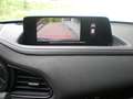 Mazda CX-30 G140 AT Nagisa Beige - thumbnail 14