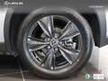 Lexus UX 250h Business City 2WD - thumbnail 10