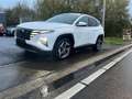 Hyundai TUCSON 1.6 T-GDi MHEVShine AUTOMATIC 10.000Kms Credit100% Blanc - thumbnail 1