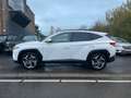 Hyundai TUCSON 1.6 T-GDi MHEVShine AUTOMATIC 10.000Kms Credit100% Blanc - thumbnail 3