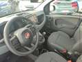 Fiat Panda Classic 1.0 70ch BSG S\u0026S Icône Step 2 Bleu - thumbnail 15
