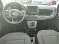 Fiat Panda Classic 1.0 70ch BSG S\u0026S Icône Step 2 Bleu - thumbnail 17