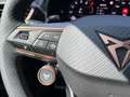 CUPRA Formentor VZ 2.0 TSI 265PS +AHK+MATRIX+360+ACC Klima Navi Grau - thumbnail 14