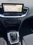 Kia Ceed / cee'd Ceed 1.6 CRDi (48V Mild-Hybrid) Vision Grau - thumbnail 17