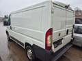 Fiat Ducato 100 Weiß - thumbnail 9