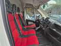 Fiat Ducato 100 Weiß - thumbnail 5