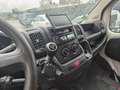 Fiat Ducato 100 Weiß - thumbnail 13