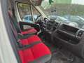 Fiat Ducato 100 Weiß - thumbnail 4