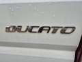 Fiat Ducato 100 Weiß - thumbnail 16