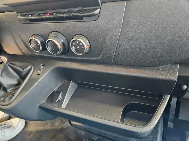 Renault Master Dickenherr Pferdetransporter Ansicht 35