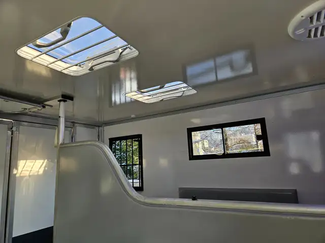 Renault Master Dickenherr Pferdetransporter Ansicht 17