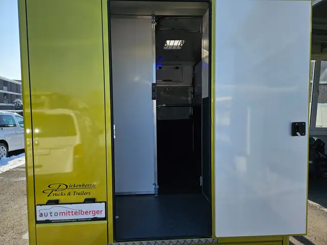 Renault Master Dickenherr Pferdetransporter Ansicht 7