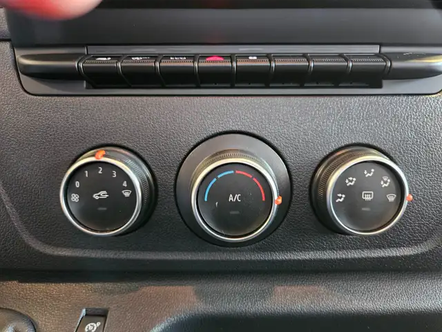 Renault Master Dickenherr Pferdetransporter Ansicht 30