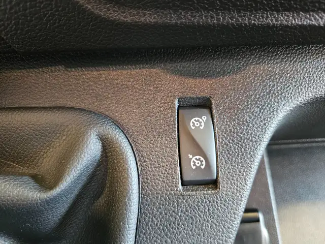 Renault Master Dickenherr Pferdetransporter Ansicht 31