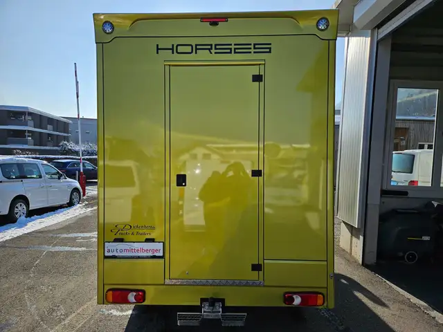 Renault Master Dickenherr Pferdetransporter Ansicht 3